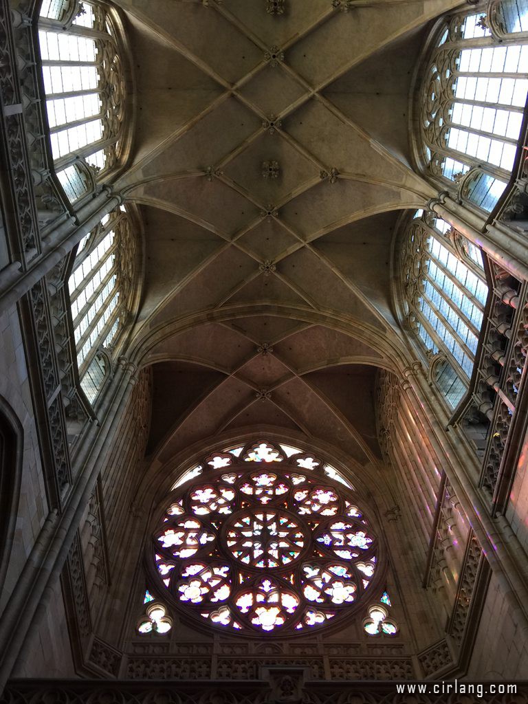 sc-IMG_2101.jpg