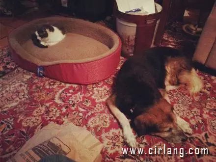 8_看图王.web.jpg
