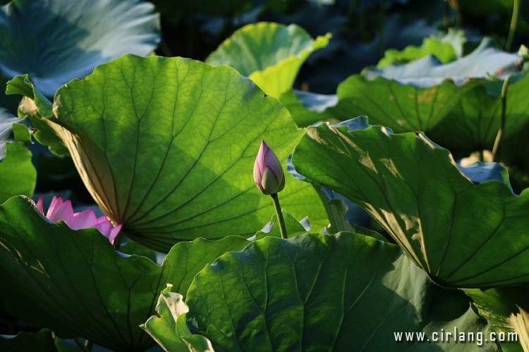 sc-2015-06-14-00-14-14_deco.jpg