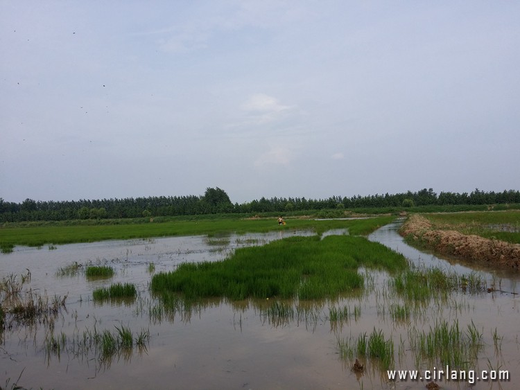 sc-20150809_155526.jpg