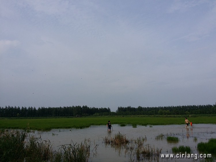 sc-20150809_155610.jpg
