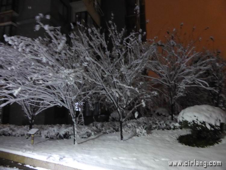 P1020254.jpg