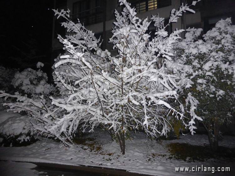 P1020277.jpg