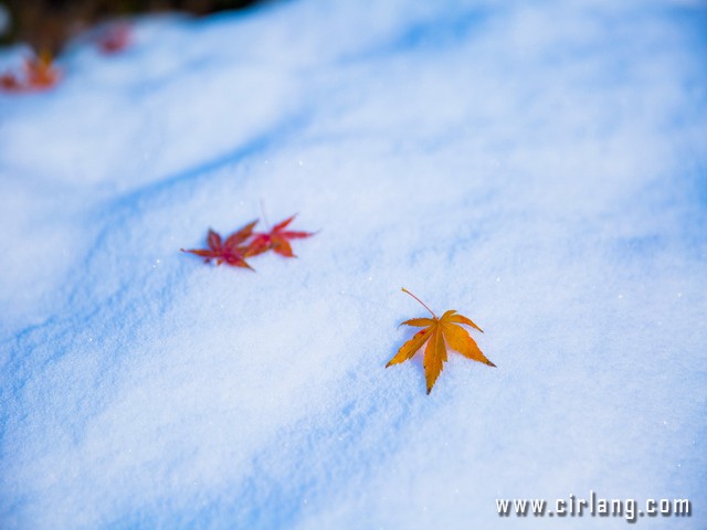 雪霁