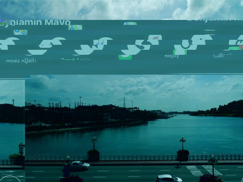 2017Singapore 0290.JPG