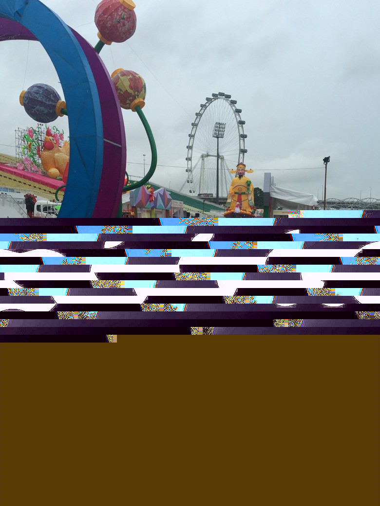 2017Singapore 1032.jpg