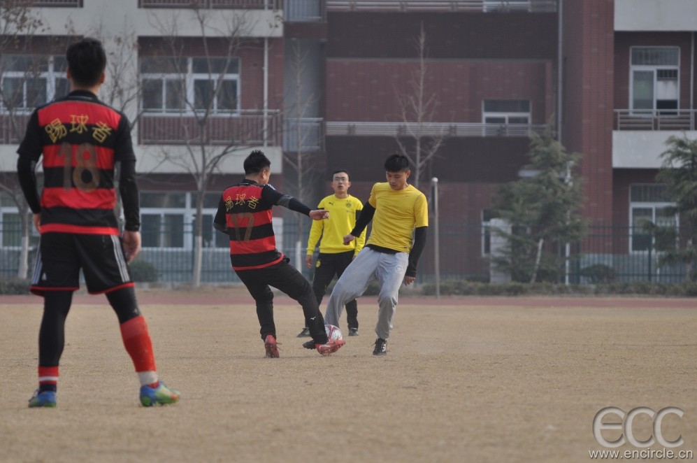 DSC_0103.JPG