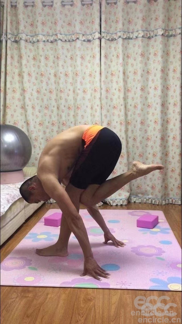 瑜伽小白的瑜伽成长の路