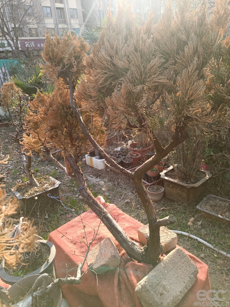 微信图片_202212191604085.jpg