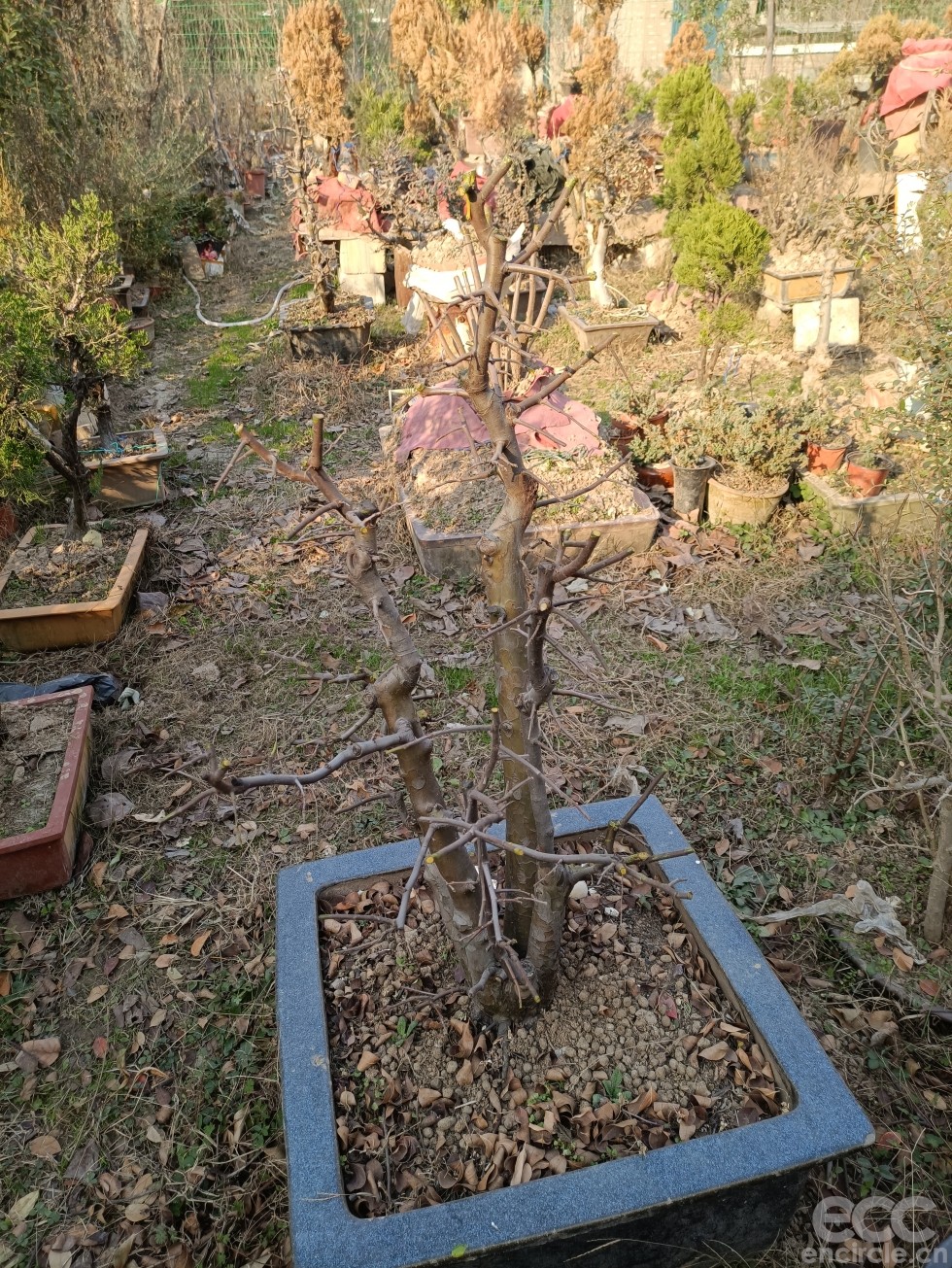 微信图片_2022121916040811.jpg