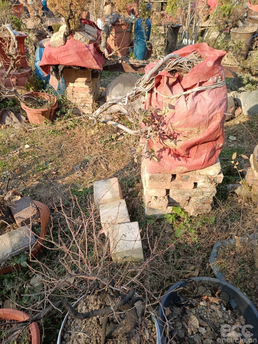 微信图片_2022121916040812.jpg