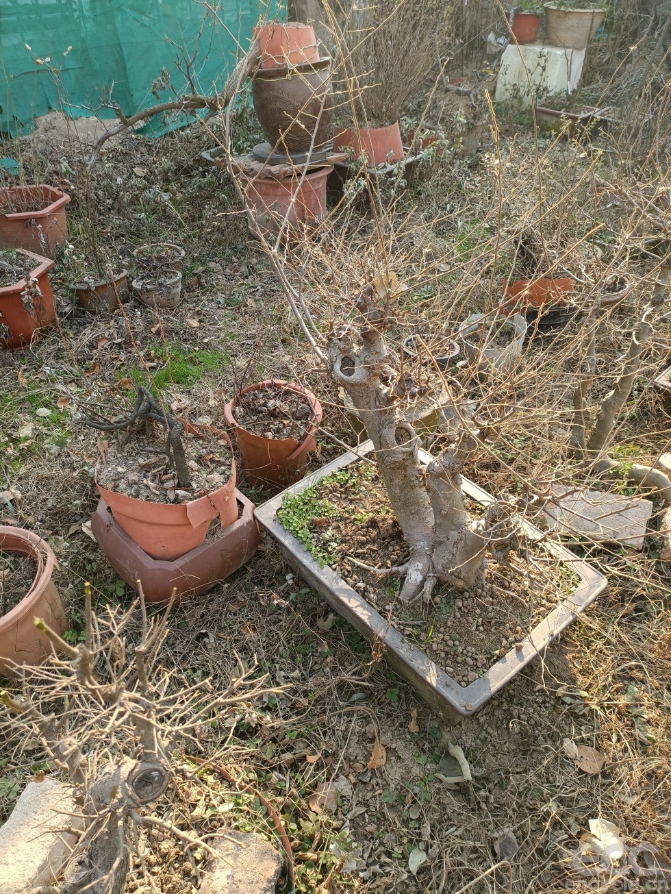微信图片_2022121916040814.jpg