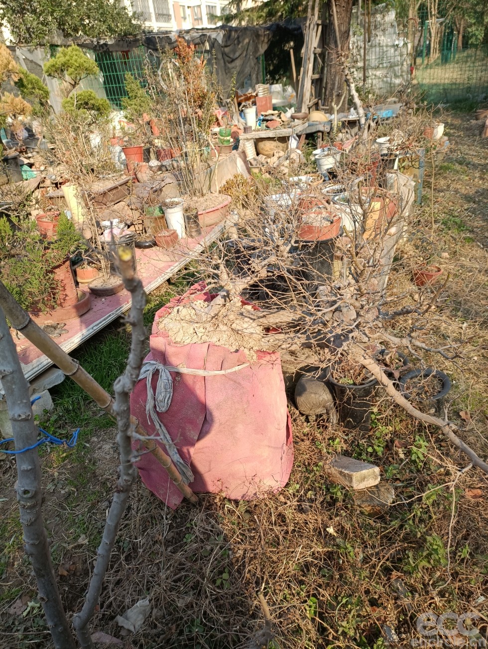 微信图片_2022121916040818.jpg