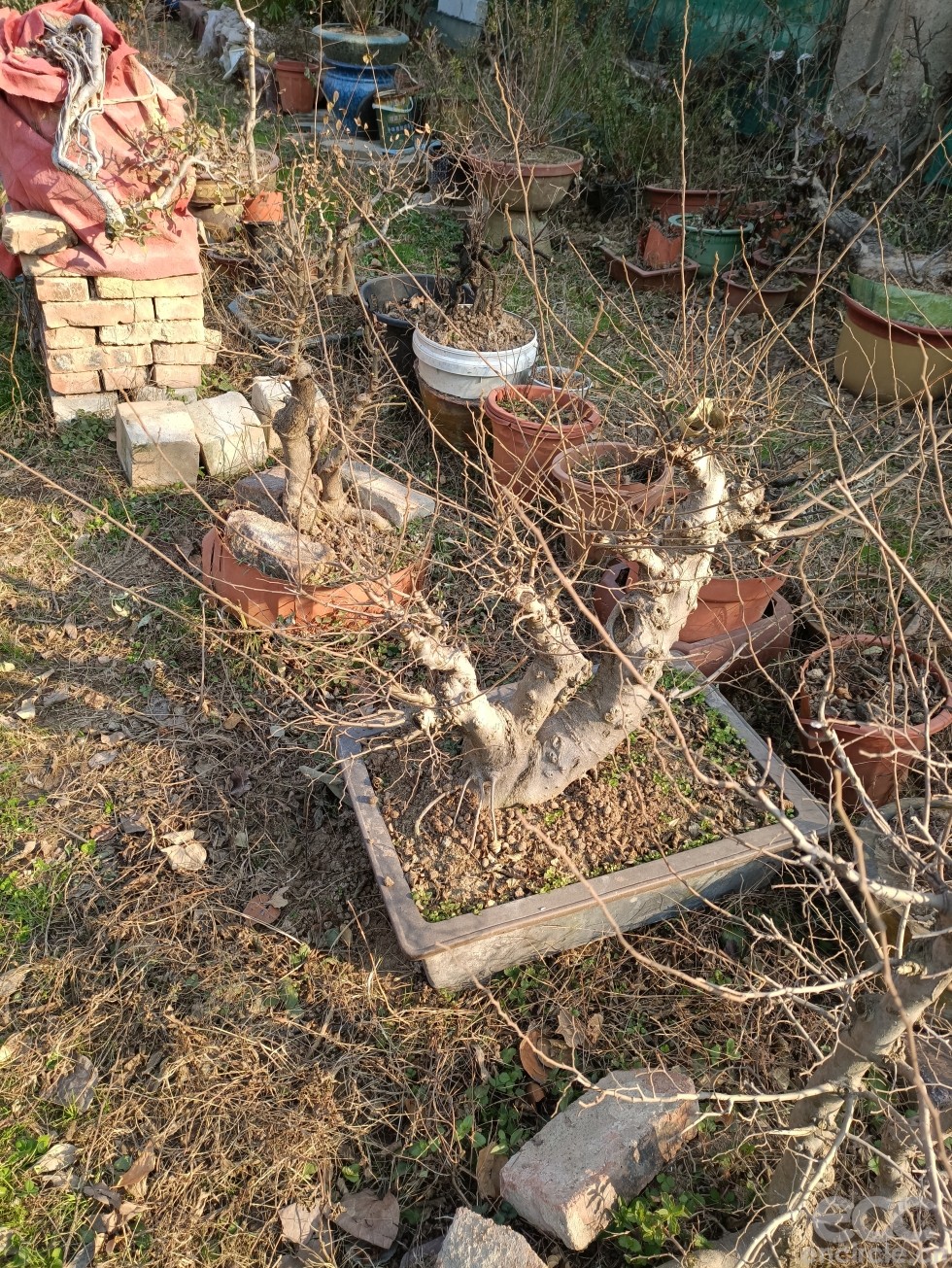 微信图片_2022121916040819.jpg