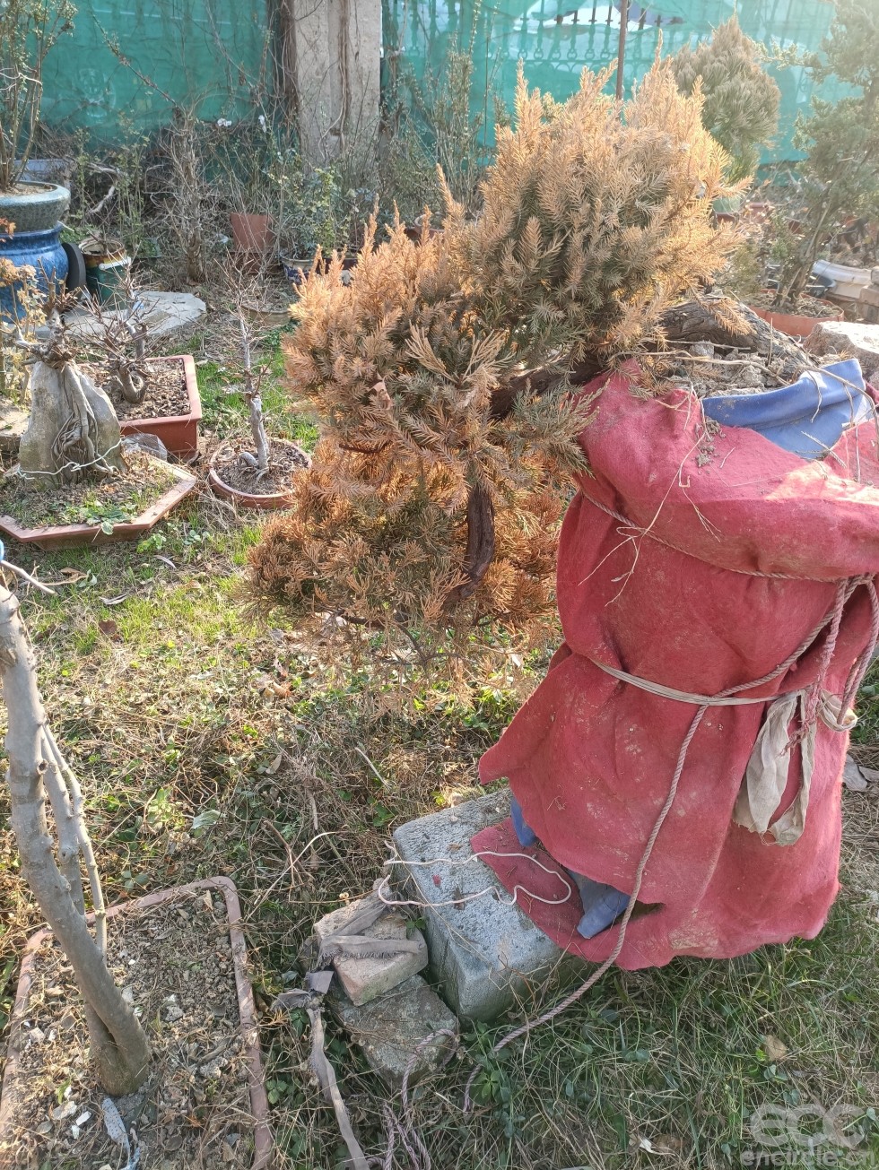 微信图片_2022121916040823.jpg