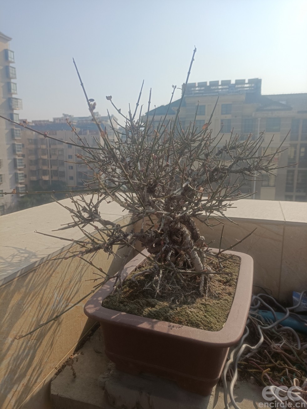 微信图片_202301071447481.jpg