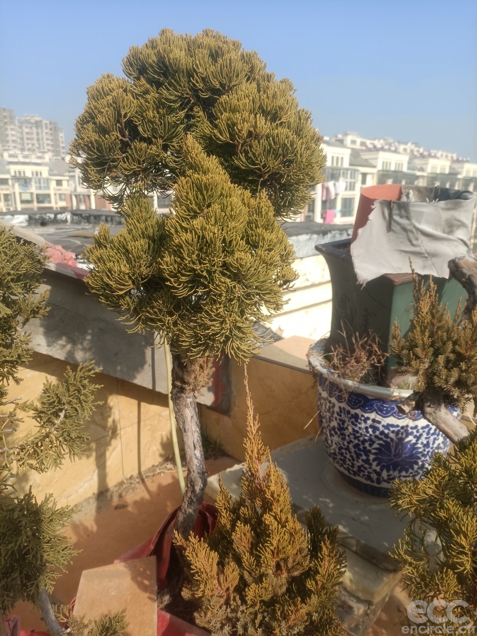 微信图片_2023010714474810.jpg