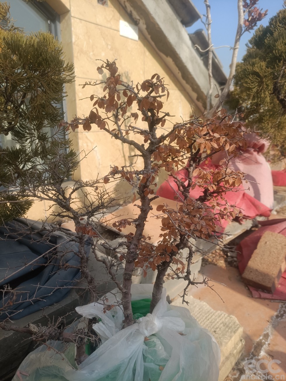 微信图片_2023010714474815.jpg